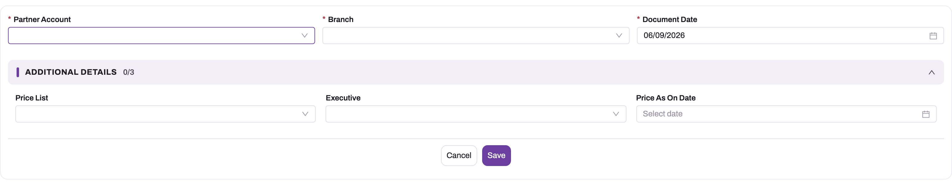 New adjustment form with Partner Account, Branch, Document Date and the Additional Details group